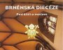 Brněnská diecéze