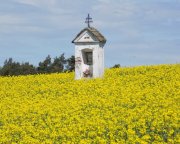 náhled titulu - Ať světlo hoří, ke slávě Boží